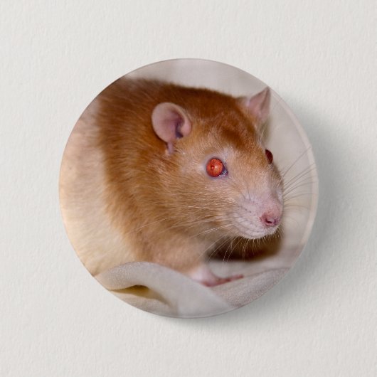 ロランドバッジ 缶バッジ (正面)