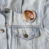 ロランドバッジ 缶バッジ (インサイチュ)