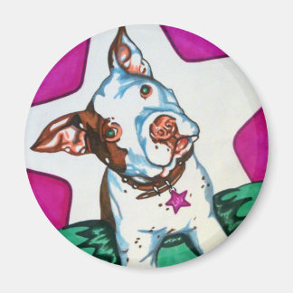 ロラ磁石 マグネット