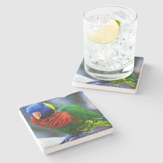 ロリケート赤い緑の黄色の鳥の写真モダン ストーンコースター (横)
