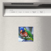 ロリケート赤青緑色の鳥は色の生活を送る マグネット (インサイチュ (食洗機))