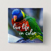 ロリケート赤青緑色の鳥は色の生活を送る 缶バッジ (正面)