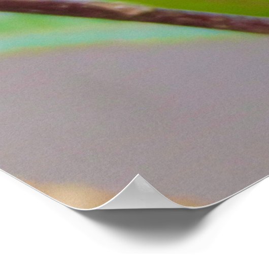 ロリケート鳥 ポスター (角)