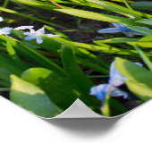 ロリーフレックスカメラ ポスター (角)