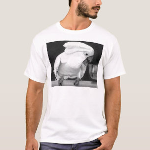 ロレダナのオウム Tシャツ