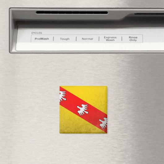 ロレーヌ マグネット (インサイチュ (食洗機))