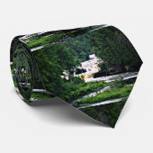 ロワータフクアメノン秋州パーク、ミシガン ネクタイ (ロール)