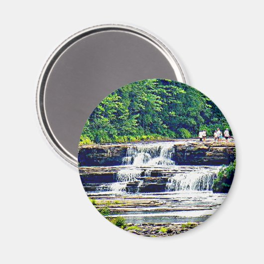 ロワータフクアメノン秋州パーク、ミシガン マグネット (正面/裏面)