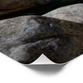 ロワーヨセミテ滝 ポスター (コーナー)