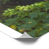 ロワー秋クリークウォーターフォールHDRプリント付き/聖なる書物、 経典 ポスター (角)