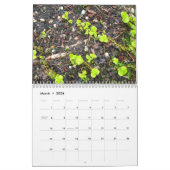 ロングアイランドの毎日の写真2010のカレンダー カレンダー (3月 2026)