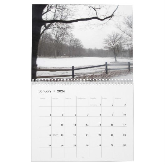 ロングアイランドの毎日の写真2010のカレンダー カレンダー (1月 2026)