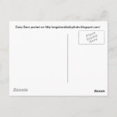 ロングアイランドの酪農 ポストカード (裏面)