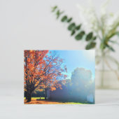 ロングアイランドオータム秋ファームバーンニューヨーク ポストカード (スタンド正面)