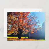 ロングアイランドオータム秋ファームバーンニューヨーク ポストカード (正面/裏面)