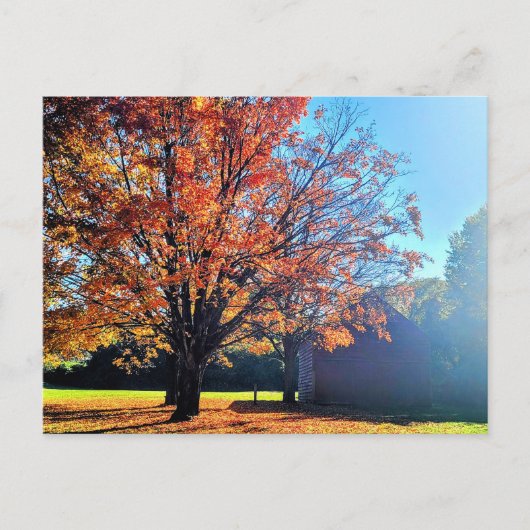 ロングアイランドオータム秋ファームバーンニューヨーク ポストカード (正面)