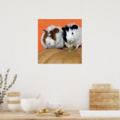 ロングアイランドチーズカボチャに乗った2モルモット ポスター (キッチン)