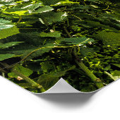 ロングイックモセルヴィネヤードパノラマドイツ ポスター (角)