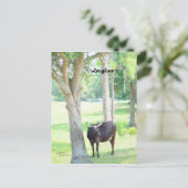 ロングウカウポートシャーロットFloridaポストカード ポストカード (スタンド正面)