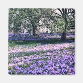 ロングウッドガーデンズ春 マグネット