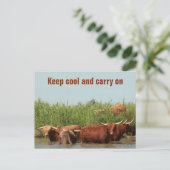 ロングウ保ォンクールグの運牛のオン ポストカード (スタンド正面)