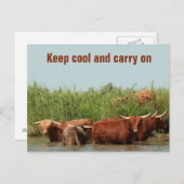 ロングウ保ォンクールグの運牛のオン ポストカード (正面/裏面)