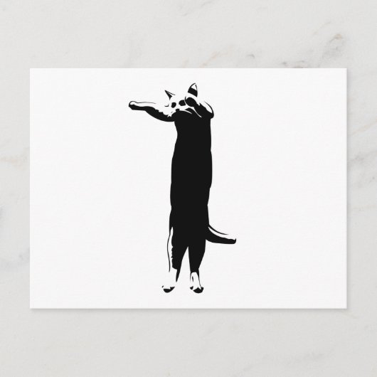 ロングキャットミーム ポストカード (正面)