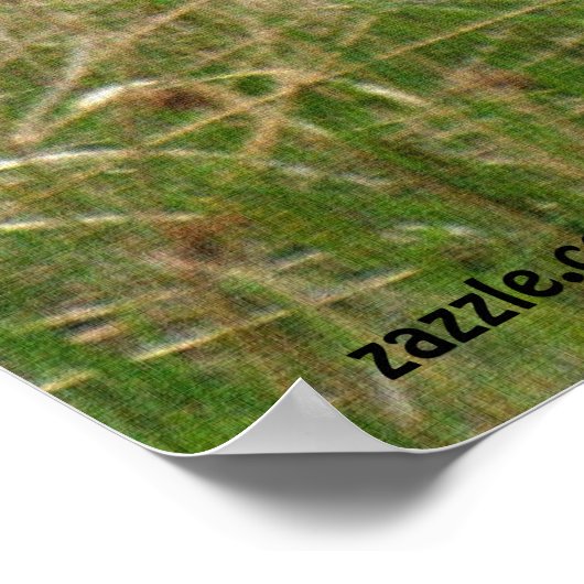 ロンググラス野生動物の夏のコヨーテ写真ポスター ポスター (角)