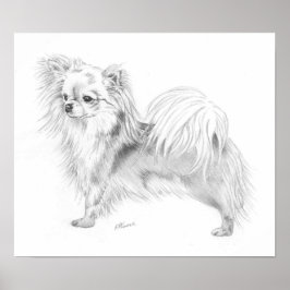 ロングコートチワホアチャンピオン ポスター