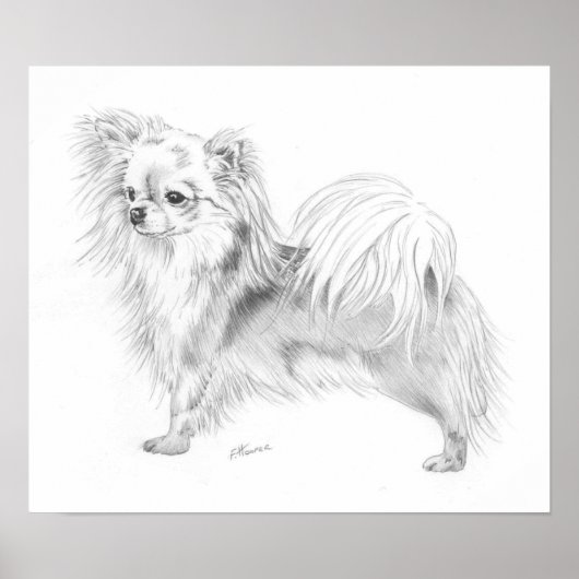 ロングコートチワホアチャンピオン ポスター (正面)