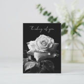 ロングステームの白バラB&W写真 ポストカード (スタンド正面)