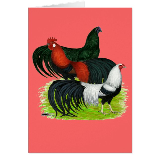 ロングテイルオスタートリオ (正面)