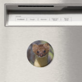 ロングテイルワイゼル マグネット (インサイチュ (食洗機))