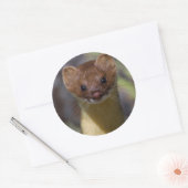 ロングテイルワイゼル ラウンドシール (封筒)