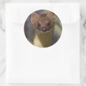 ロングテイルワイゼル ラウンドシール (バッグ)