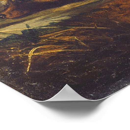 ロングテール赤キツネ- JWオードボンファインアートポスター ポスター (角)