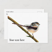 ロングテール鳥の水の色絵画の ポストカード (正面/裏面)