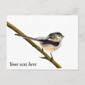 ロングテール鳥の水の色絵画の ポストカード (正面)