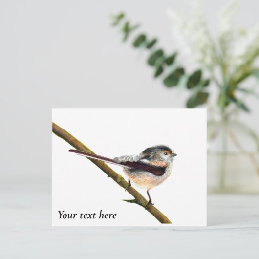ロングテール鳥の水の色絵画の ポストカード (スタンド正面)