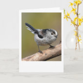 ロングテール。 カード (黄色い花)