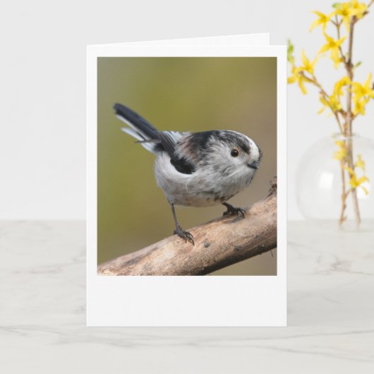 ロングテール。 カード (黄色い花)