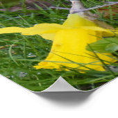 ロングテール ポスター (角)