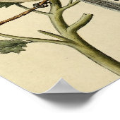 ロングテール《鳥》アメリカゴガラ ポスター (角)