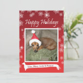 ロングドッグスノーフレーククリスマスカード シーズンカード (スタンド正面)