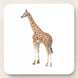 ロングネックキリン コースター