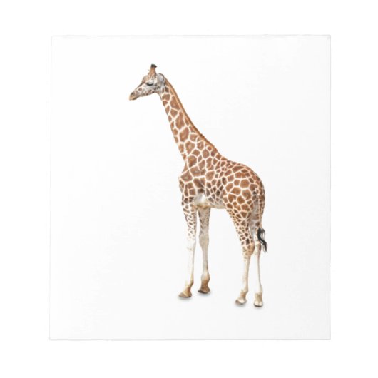ロングネックキリン ノートパッド (正面)