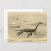 ロングネック海トカゲ動物学的スケッチ葉書 ポストカード (正面/裏面)