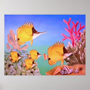 ロングノーズ蝶魚 ポスター