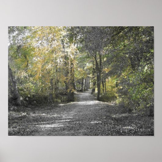 ロングパス ポスター (正面)