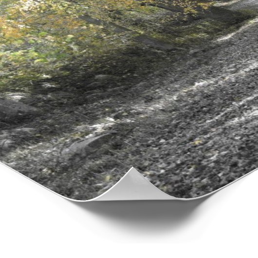 ロングパス ポスター (角)